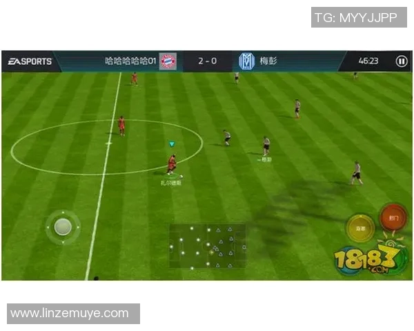 全球足球巨星的成长历程与成就分析及其对足球运动的影响 全球足球巨星的成长历程与成就分析及其对足球运动的影响