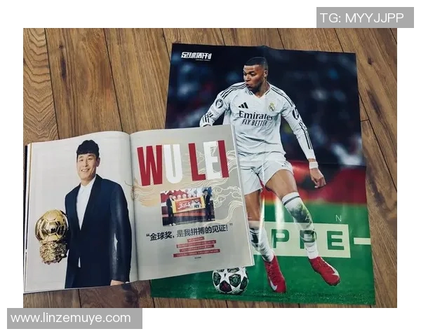 近年来退役的足球明星们的职业生涯回顾与未来发展展望