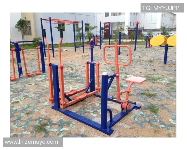 广州体育健身器材市场发展现状与未来趋势分析及投资机会探讨