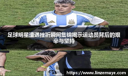 米兰·体育官方网站