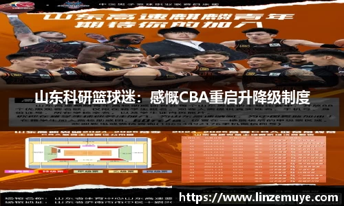 山东科研篮球迷：感慨CBA重启升降级制度