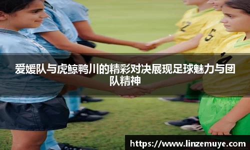 AC米兰体育官网入口