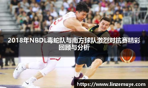2018年NBDL毒蛇队与南方球队激烈对抗赛精彩回顾与分析